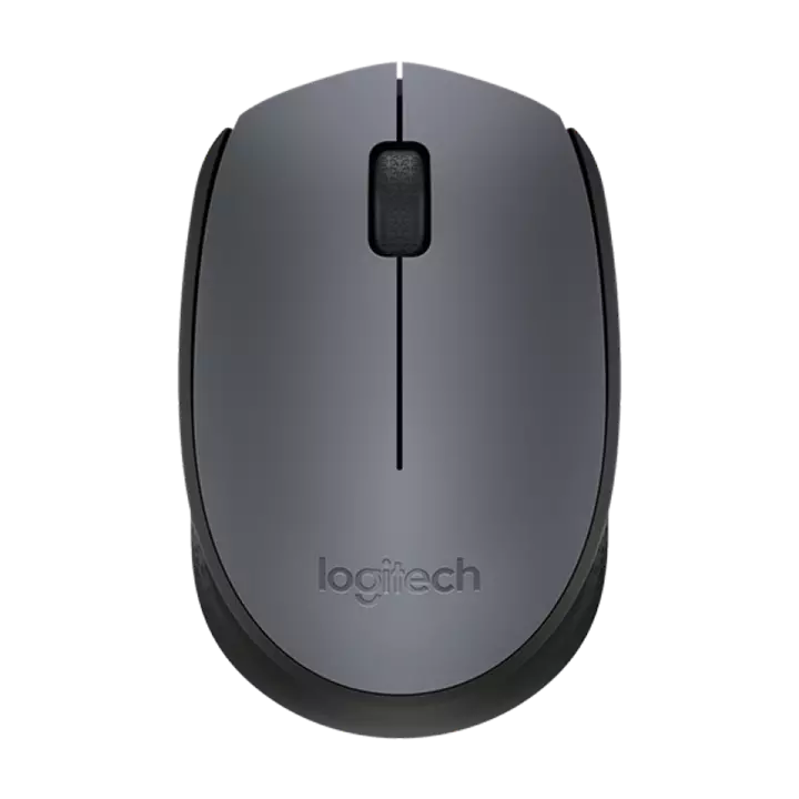 موس بی سیم لاجیتک M171