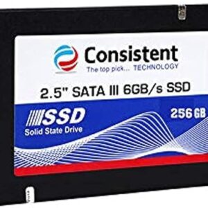 اس اس دی Consistent SSD 256GB