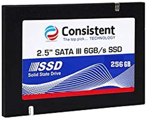 اس اس دی Consistent SSD 256GB