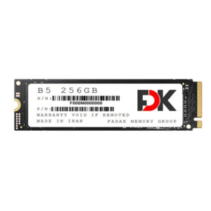 اس اس دی فدک SSD FDK B5 256GB SERIES M.2
