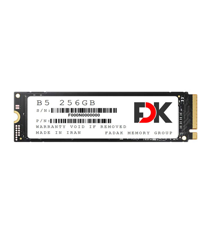 اس اس دی فدک SSD FDK B5 256GB SERIES M.2