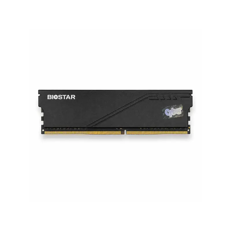 رم کامپیوتر بایواستار RAM BIOSTAR STORMING V 8GB 3200MHz CL22 DDR4